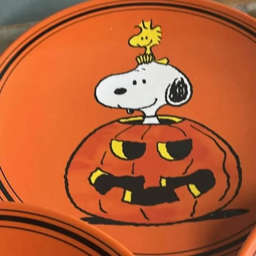 Pottery Barn Peanuts Snoopy Halloween Plate and Bowl 4 set (8 total) Melamine